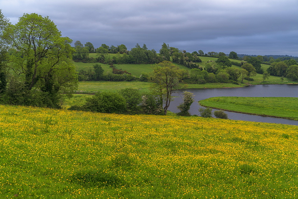 Lough Ougther, County Cavan, Ulster, Republic of Ireland, Europe