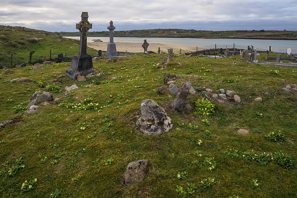 Omey Island Graveyard, Connemara, County Galway, Connacht, Republic of Ireland, Europe