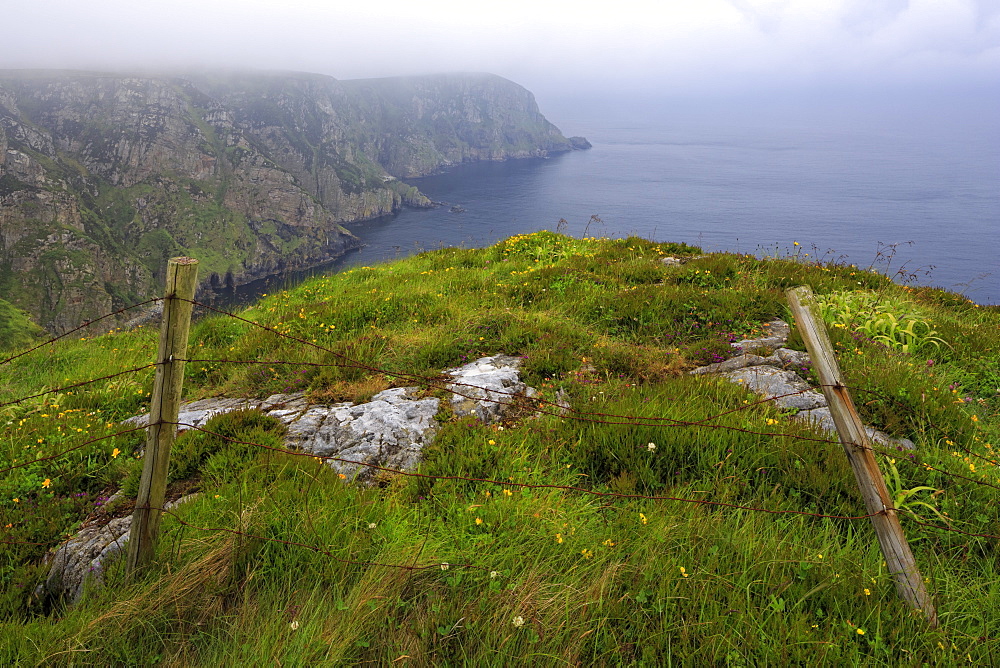 Horn Head, County Donegal, Ulster, Republic of Ireland, Europe