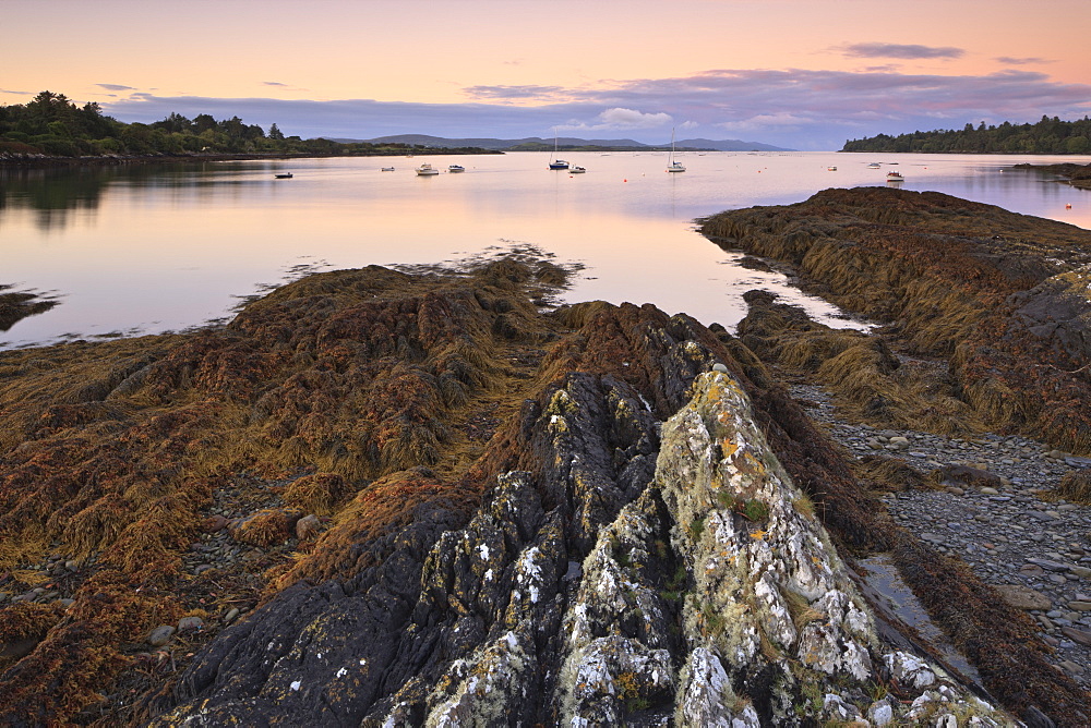 Bantry Bay, County Cork, Munster, Republic of Ireland, Europe