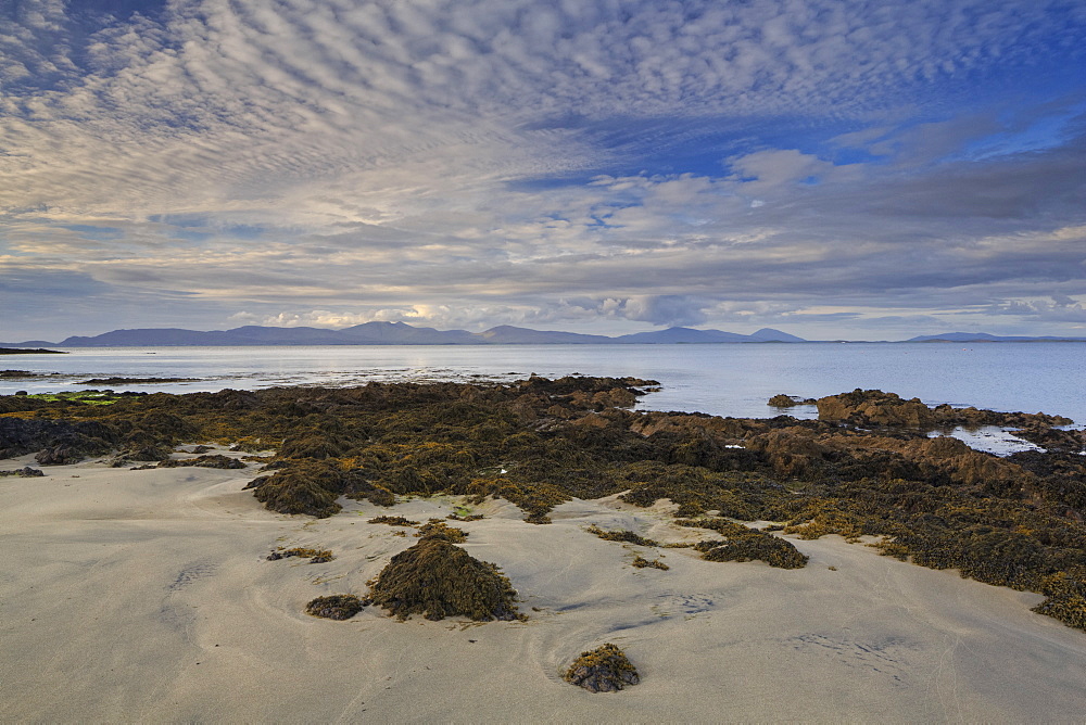 Old Head, County Mayo, Connacht, Republic of Ireland, Europe