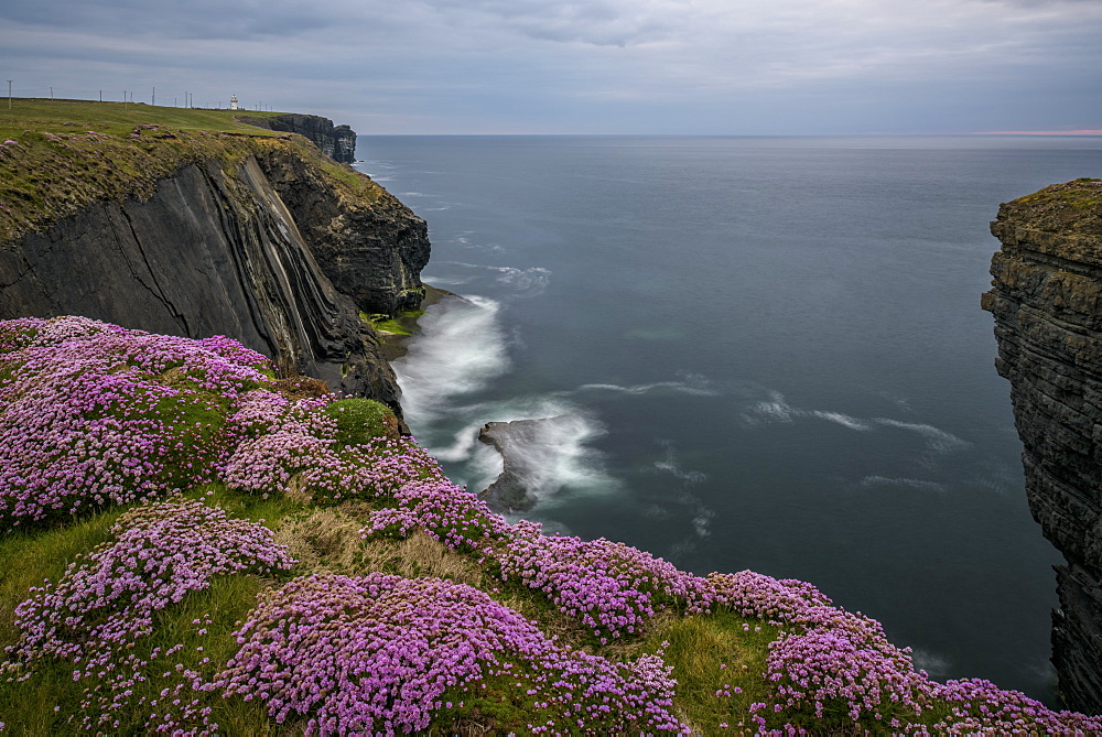 Loop Head, County Clare, Munster, Republic of Ireland, Europe