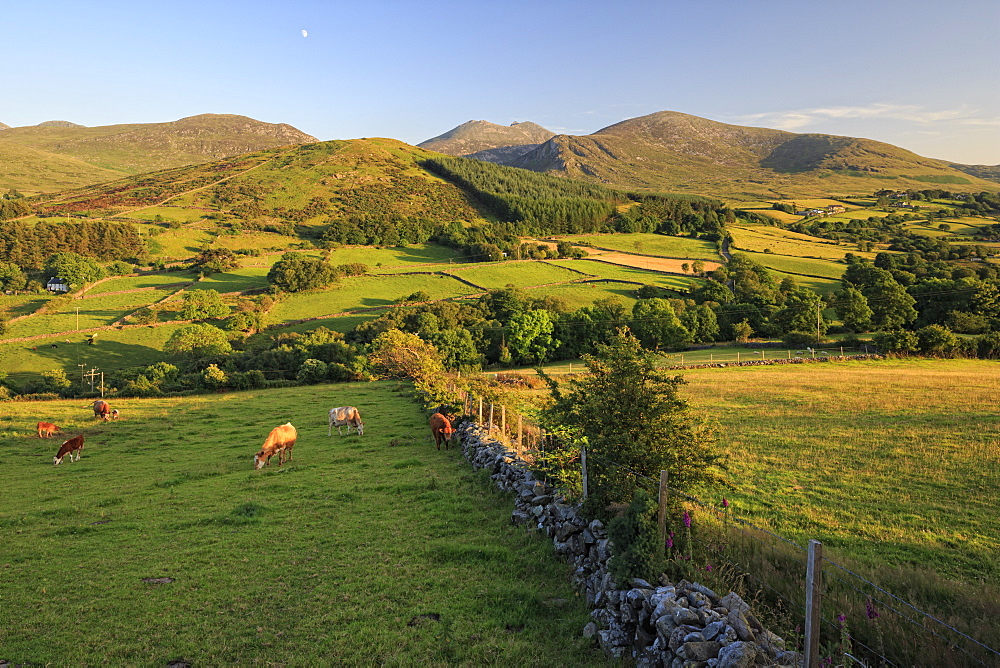 Mourne Mountains, County Down, Ulster, Northern Ireland, United Kingdom, Europe