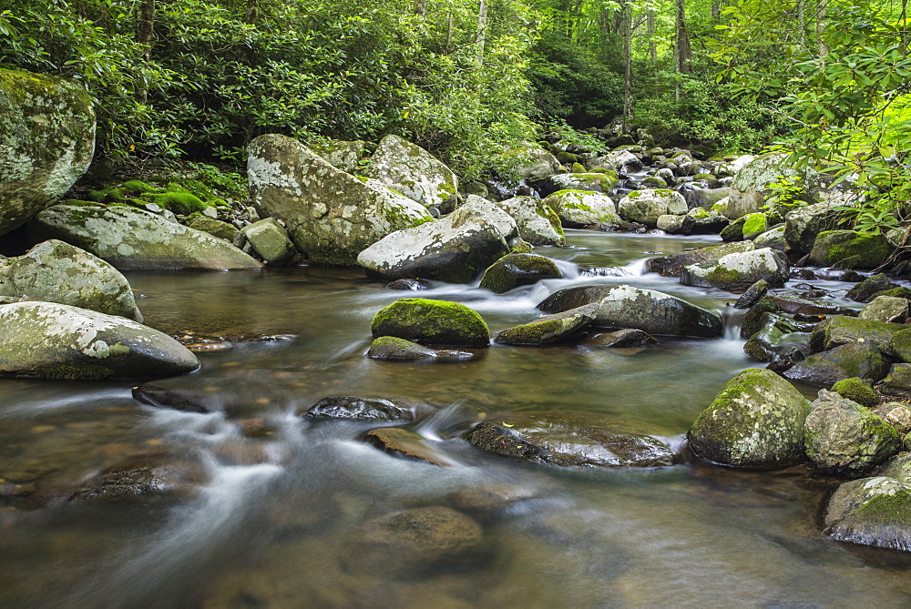 Mountain creek flowing through dense forest woods near the Appalachian Trail, North Carolina, United States of America, North America