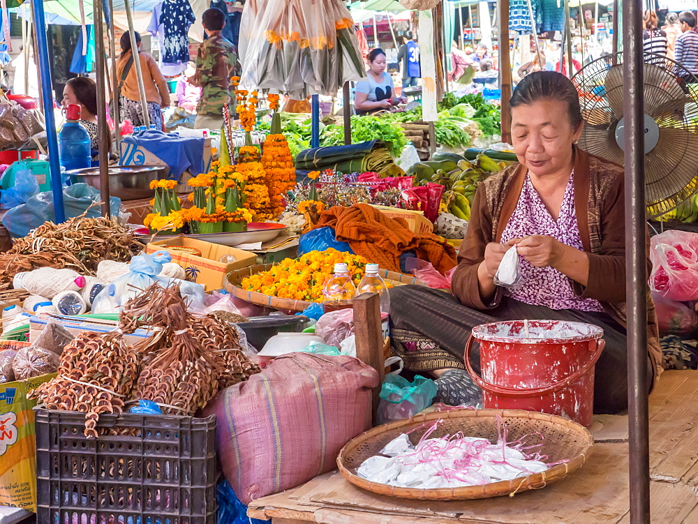 Vendor in central outdoor market, Luang Prabang, Laos, Indochina, Southeast Asia, Asia