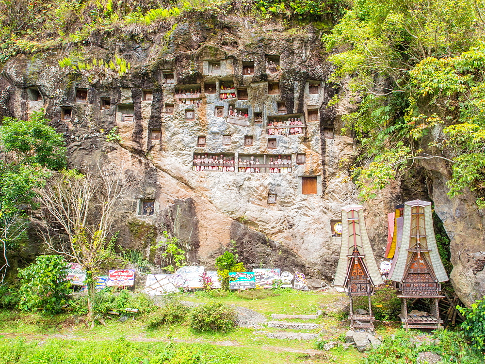 At this burial cliff, condolence signs from past funerals and coffin carriers shaped like traditional Torajan houses are left below the crypts and tao-taos, Tana Toraja, Sulawesi, Indonesia, Southeast Asia, Asia