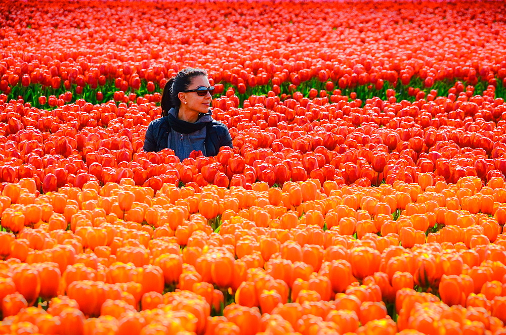 Young woman in tulip fields in Lisse, Netherlands, Europe