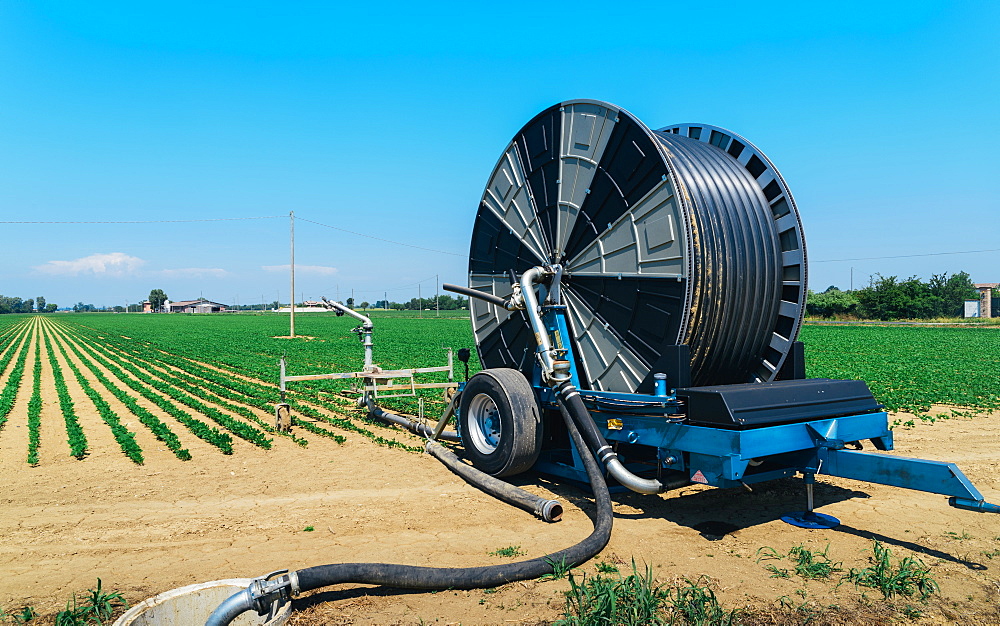 Hoses to water crops in Emilia-Romagna, Italy, Europe