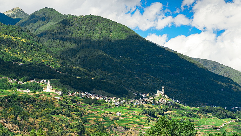 Two churches in the wine-growing hills of Valtellina, Lombardy, Italy, Europe