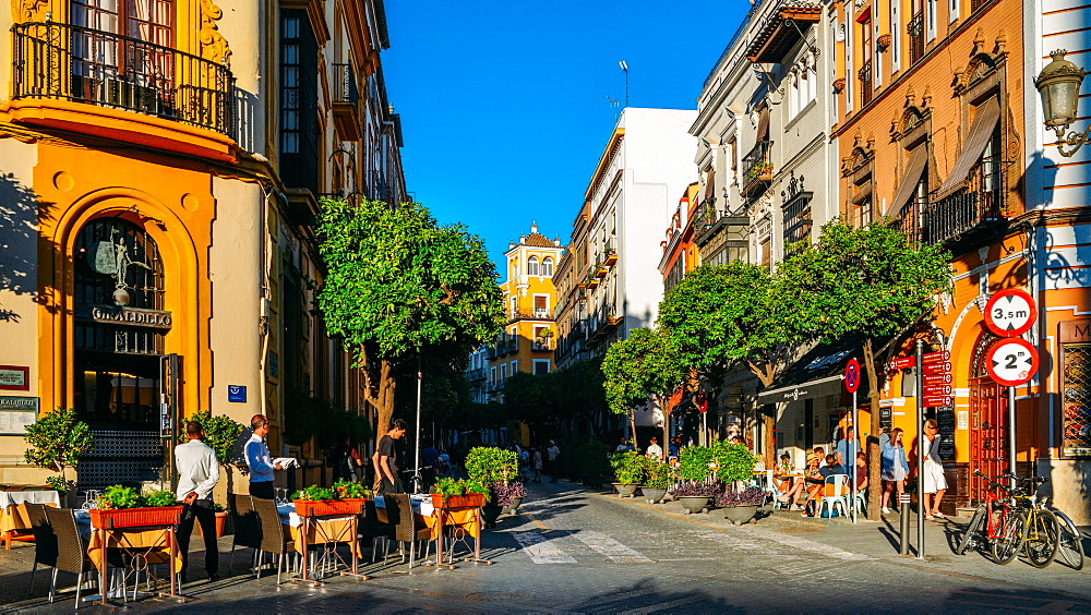 Calle Mateos Gago, a busy street with bars and restaurants in the historic centre of Seville, Andalusia, Spain, Europe