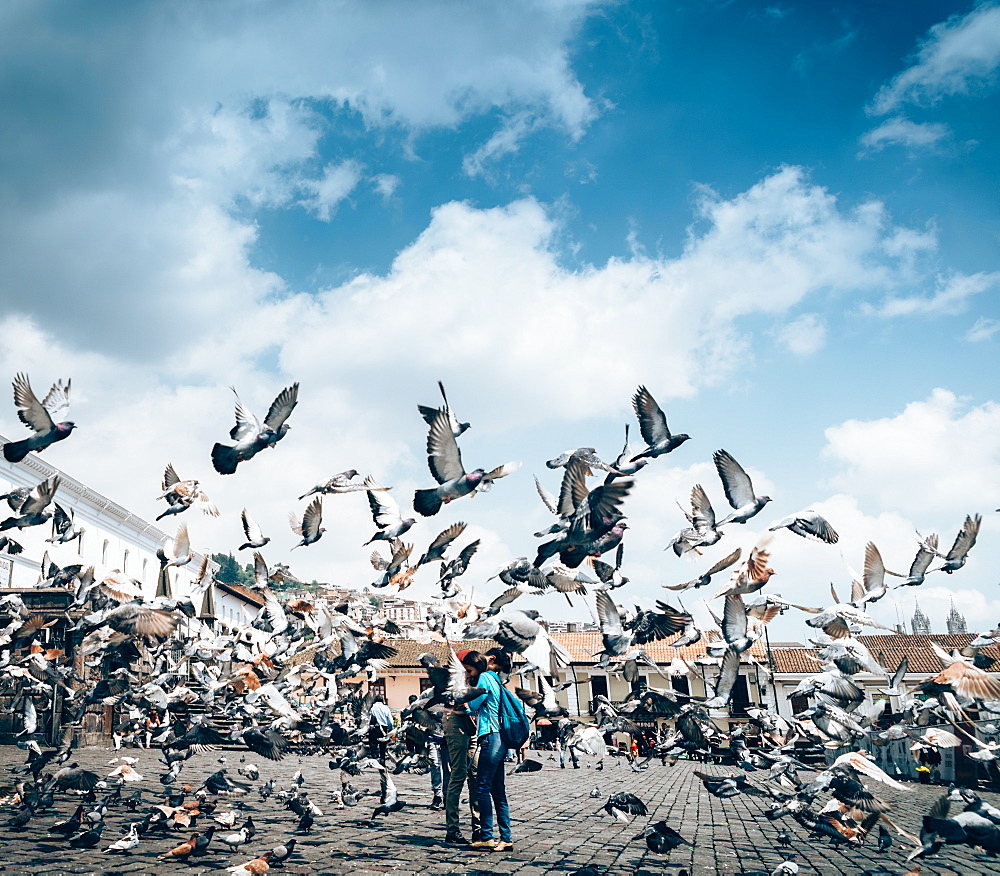 A flock of pigeons fly in front of San Francisco Square in the heart of Quito, Ecuador, South America