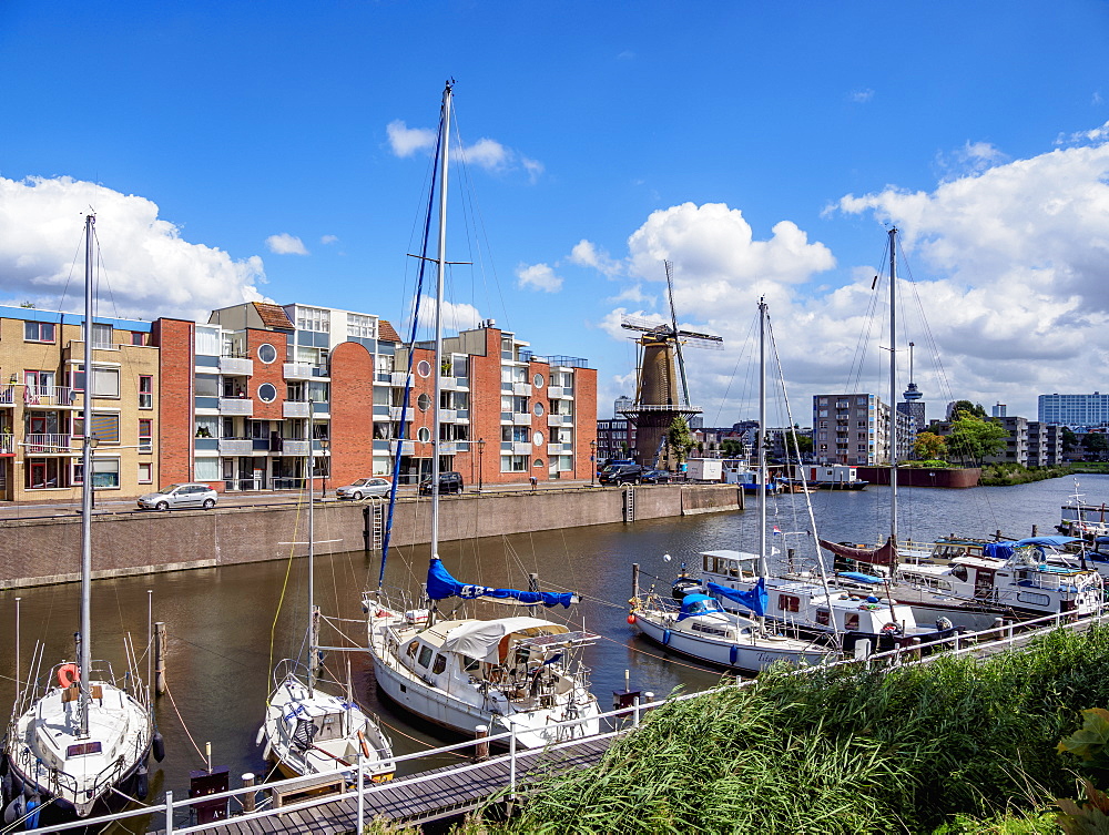 Middenkous Port and Windmill in Delfshaven, Rotterdam, South Holland, The Netherlands, Europe