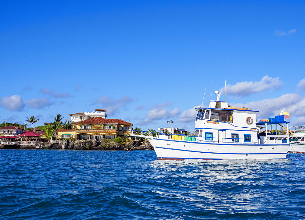 Boat in Puerto Ayora, Santa Cruz (Indefatigable) Island, Galapagos, UNESCO World Heritage Site, Ecuador, South America