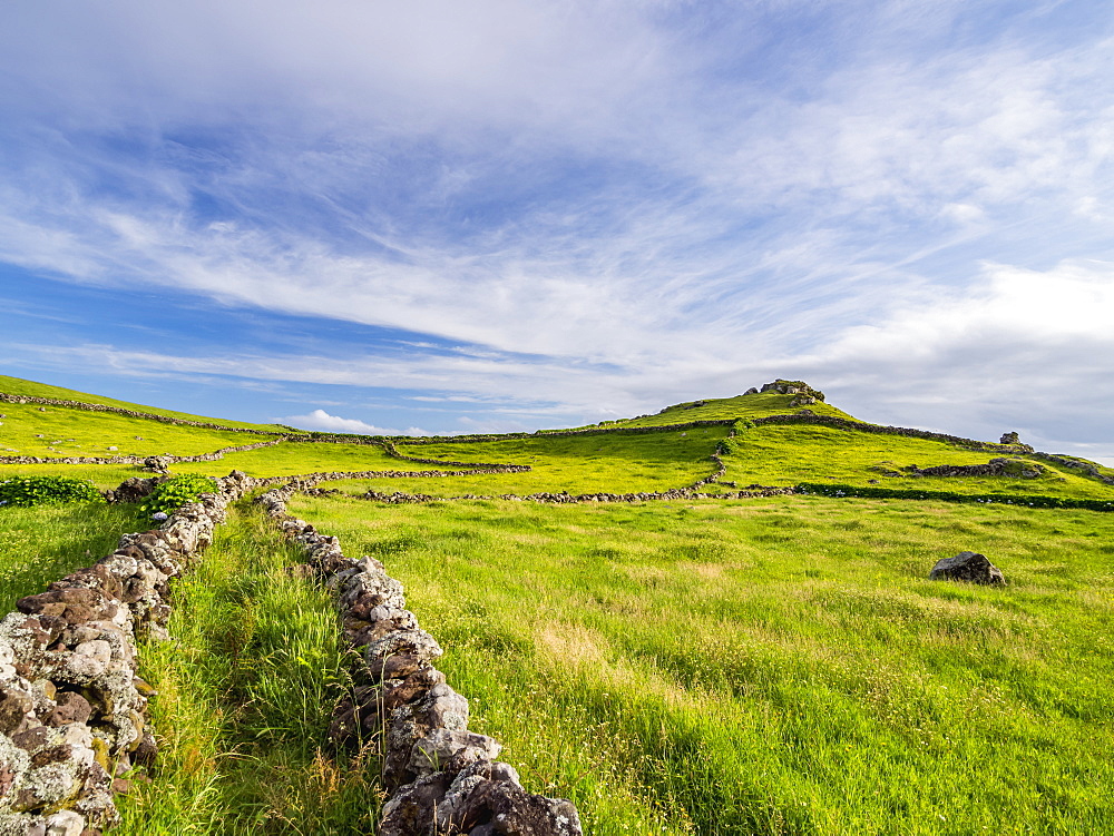 Green fields on the Island, Corvo, Azores, Portugal, Atlantic, Europe