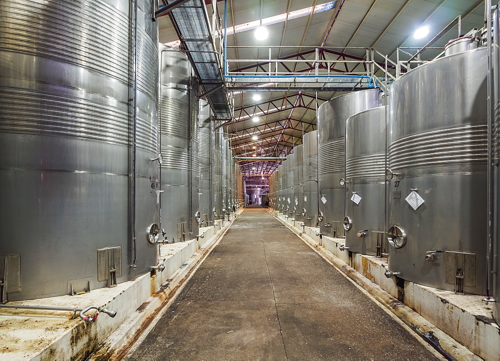 Santa Rita Winery, interior, Alto Jahuel, Buin, Santiago Metropolitan Region, Chile, South America