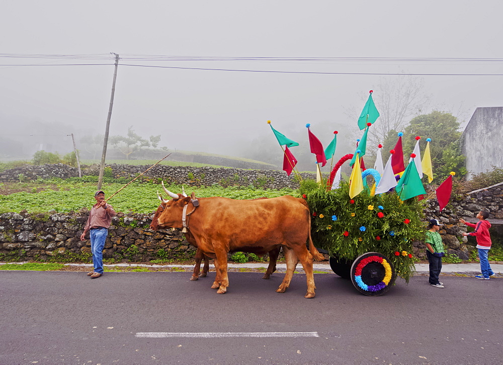 Cortejo do Espirito Santo, Holy Spirit Festivity Procession, Sao Jorge Island, Azores, Portugal, Europe