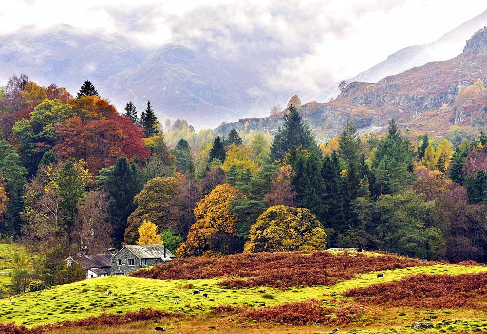 An autumn view of the scenic Langdale Valley, Lake District National Park, Cumbria, England, United Kingdom, Europe