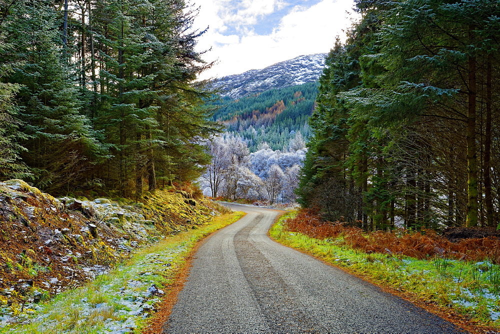 A winter view of a winding road through a wooded valley in the Ardnamurchan Peninsula, the Scottish Highlands, Scotland, United Kingdom, Europe