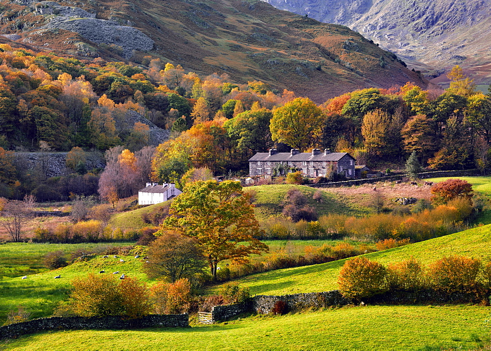 An autumn view of the scenic Langdale Valley, Lake District National Park, Cumbria, England, United Kingdom, Europe