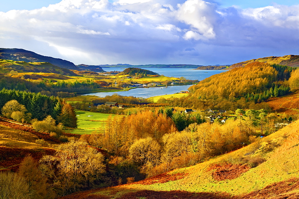 A scenic autumn view of a coastal landscape in the Scottish Highlands, looking towards Loch Melfort, Highlands, Argyll and Bute, Scotland, United Kingdom, Europe