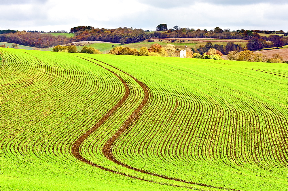 An autumn view of the distinctive rural landscape of the Cotswolds, Gloucestershire, England, United Kingdom, Europe