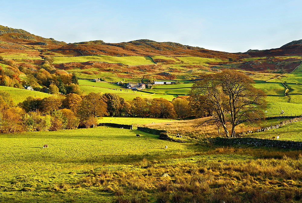 An autumn view of the scenic Duddon Valley, Lake District National Park, Cumbria, England, United Kingdom, Europe