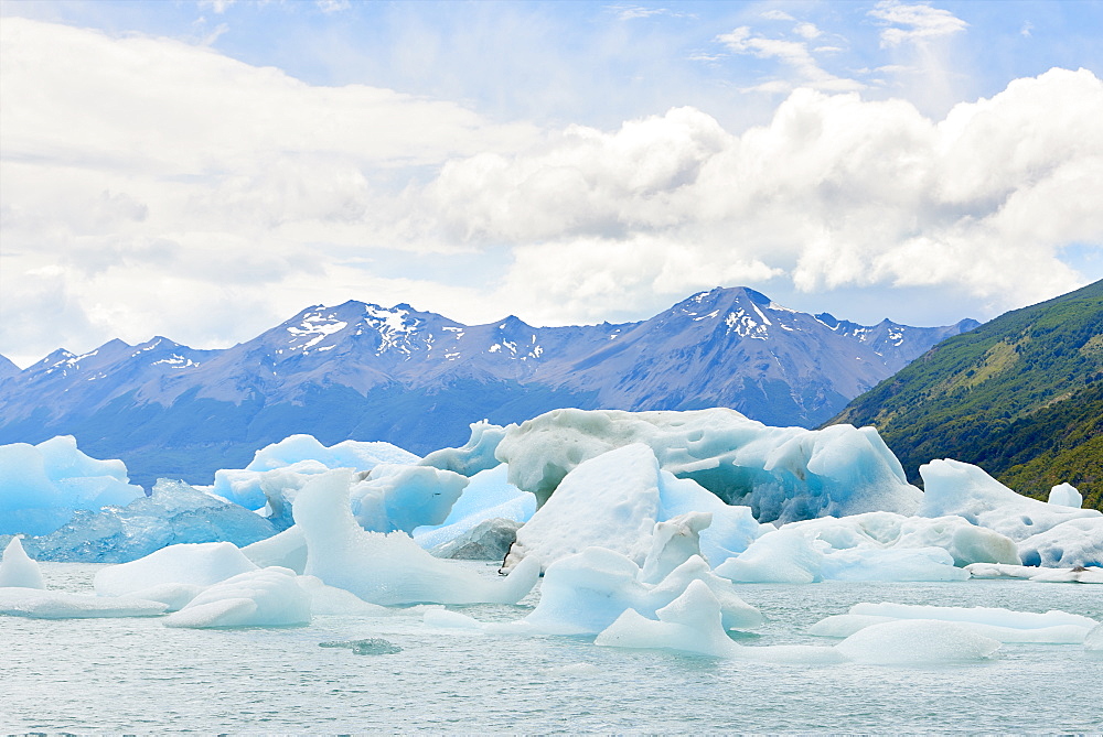 Blocks of ice float in one of the affluents of Lago Argentino, next to Perito Moreno Glacier, and wash ashore before they melt, Los Glaciares National Park, UNESCO World Heritage Site, Patagonia, Argentina, South America