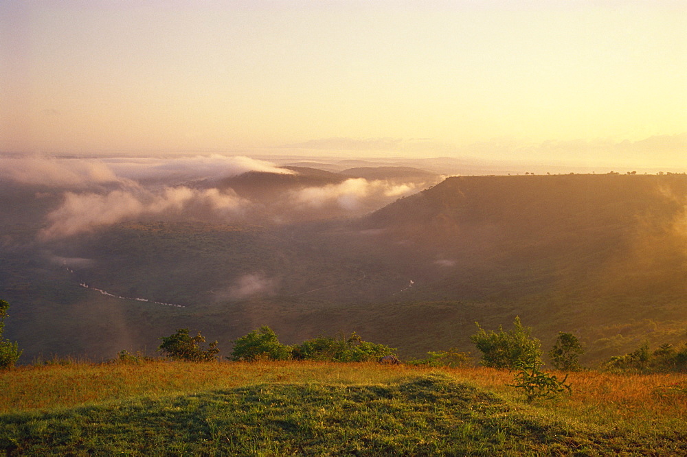 View of Mwaluganje Elephant Sanctuary, Shimbas, Kenya, East Africa, Africa