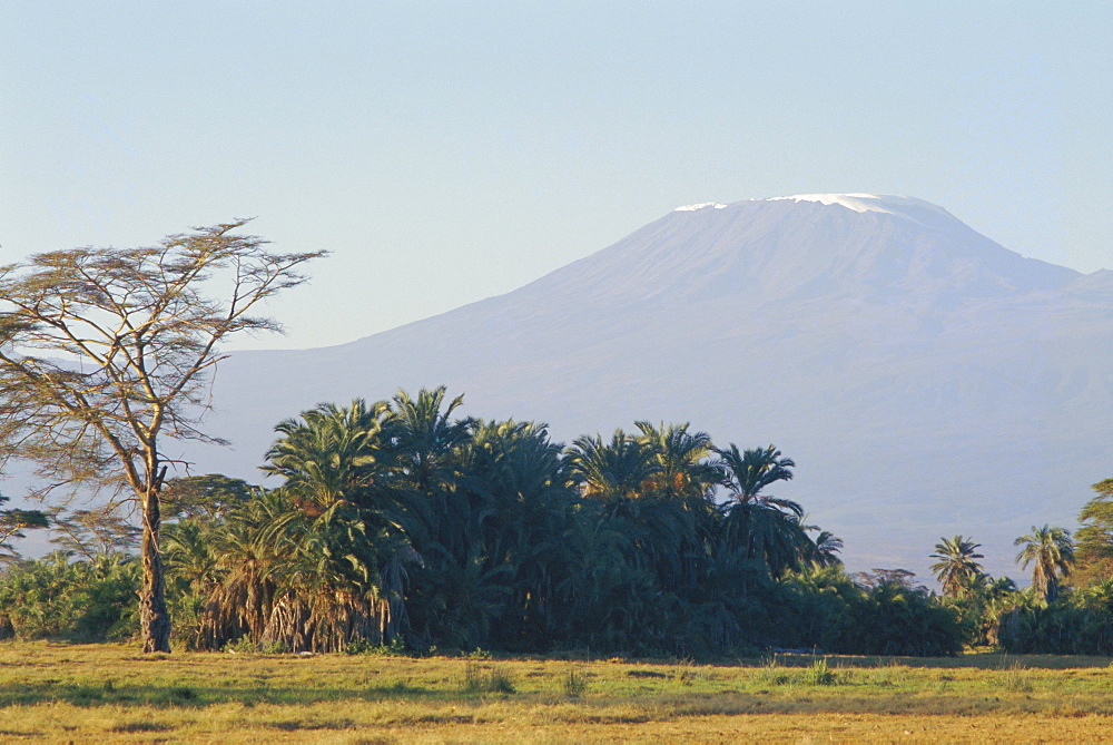 Mt. Kilimanjaro, Amboseli, Kenya, Africa