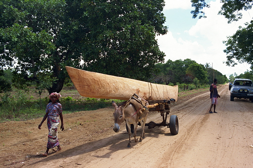 Donkey transporting dhow, Watamu, Kenya, East Africa, Africa