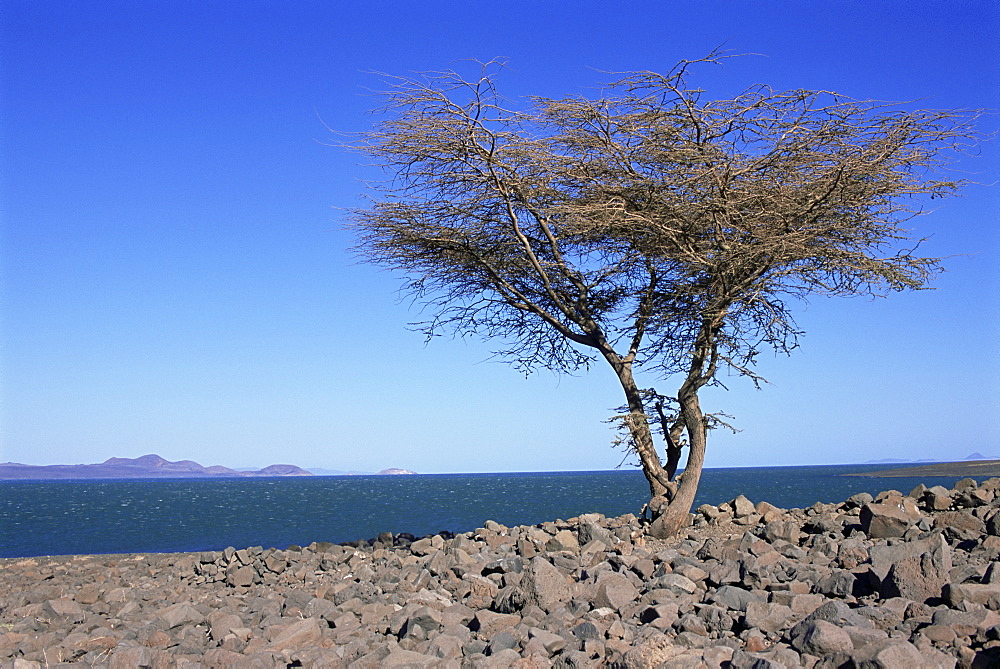 Lake Turkana, Kenya, East Africa, Africa