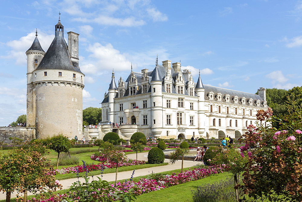 Summer flowers in the park of Chenonceau castle, UNESCO World Heritage Site, Chenonceaux, Indre-et-Loire, Centre, France, Europe