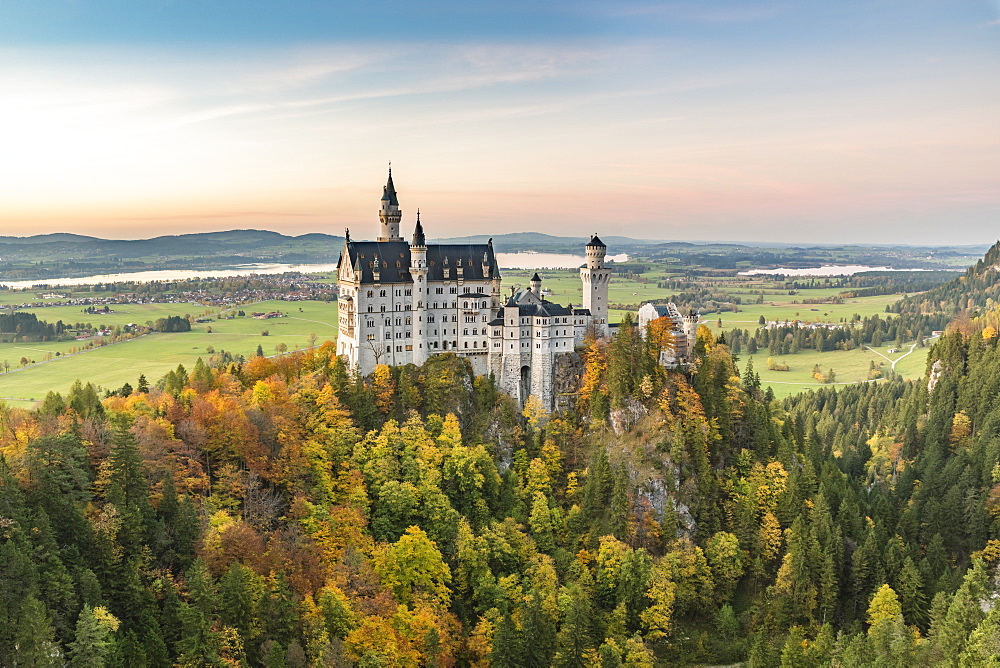 Neuschwanstein Castle surrounded by coloured fir trees at sunset, Schwangau, Schwaben, Bavaria, Germany, Europe