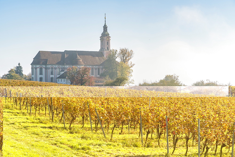 Birnau sanctuary and vineyards, Uhldingen-Muhlhofen, Baden-Wurttemberg, Germany, Europe