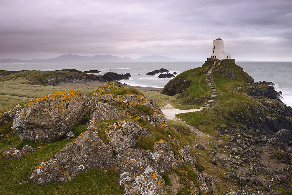 The lighthouse at the edge of Llanddwyn Islan, under a pink cloudy sky, Anglesey, Wales, United Kingdom, Europe