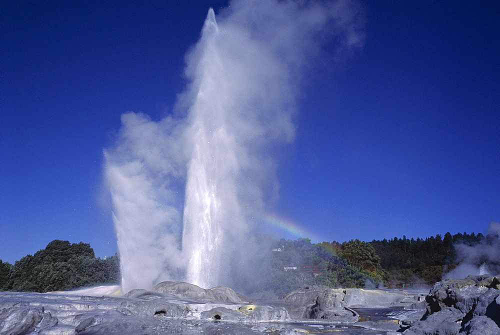 Pohutu Geyser at Whakarewarewa, Rotorua, South Auckland, North Island, New Zealand, Pacific