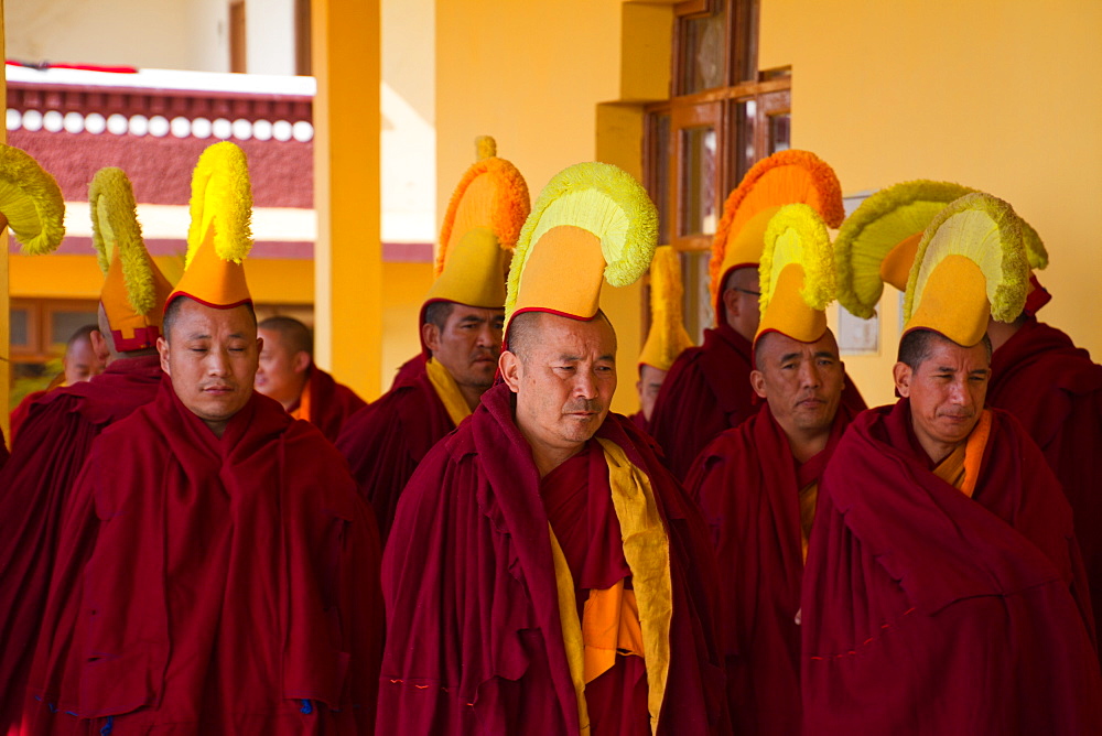 Buddhist monks of the yellow hat tradition, Gyuto Tantric Monastery, Dharamsala, Himachal Pradesh, India, Asia