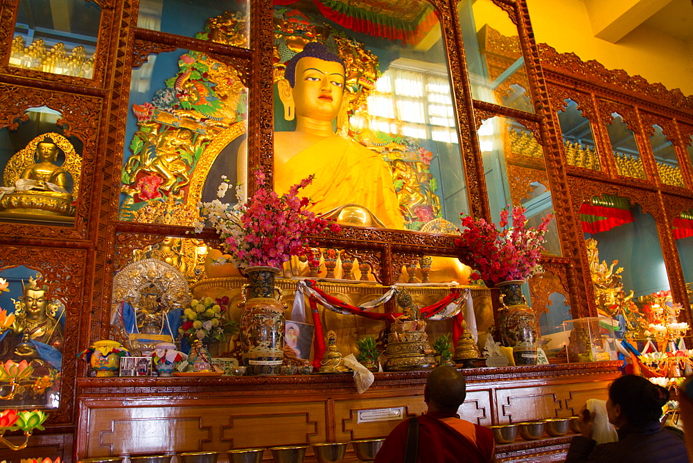 Buddha of the Karmapa temple, the Gyuto Tantric Monastery, Dharamsala, Himachal Pradesh, India, Asia