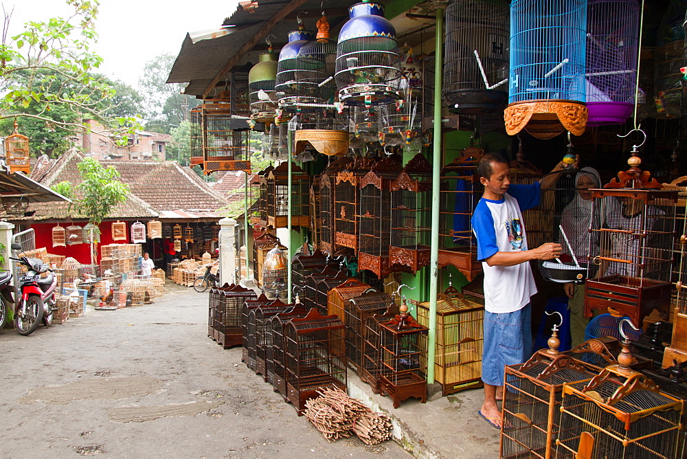 The bird and flower markets of Malang, Malang, East Java, Indonesia, Southeast Asia, Asia