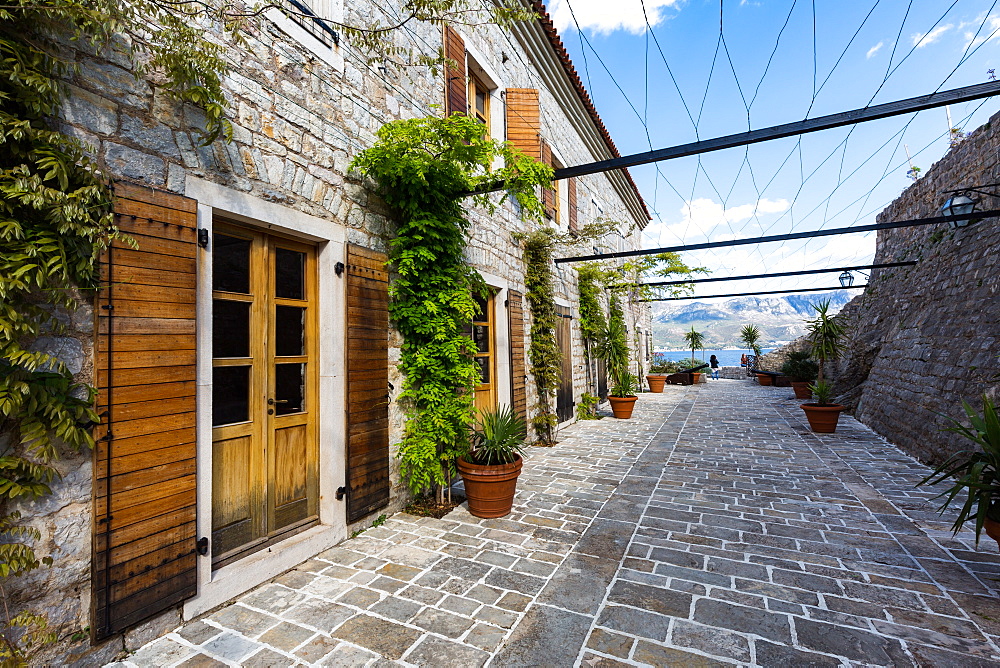 Inside the walls of the citadel which sits with the old town (stari grad) of Budva, Montenegro, Europe