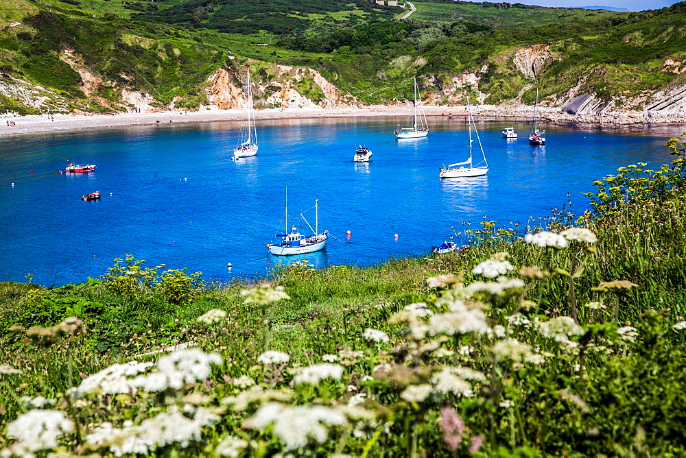 Lulworth Cove on a hot summer day, Jurassic Coast, UNESCO World Heritage Site, Dorset, England, United Kingdom, Europe