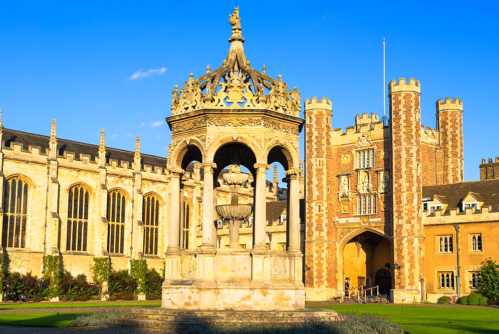 Trinity College Great Court and fountain, Cambridge University, Cambridge, Cambridgeshire, England, United Kingdom, Europe