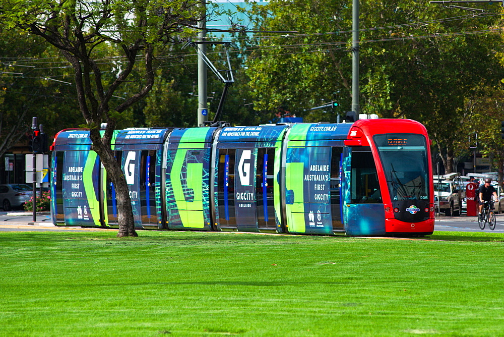 Trams at Victoria Square, Adelaide, South Australia, Australia, Pacific