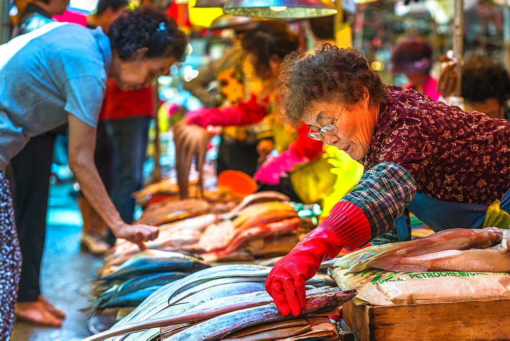 Fish for sale at Jagalchi fish market, Busan, South Korea, Asia