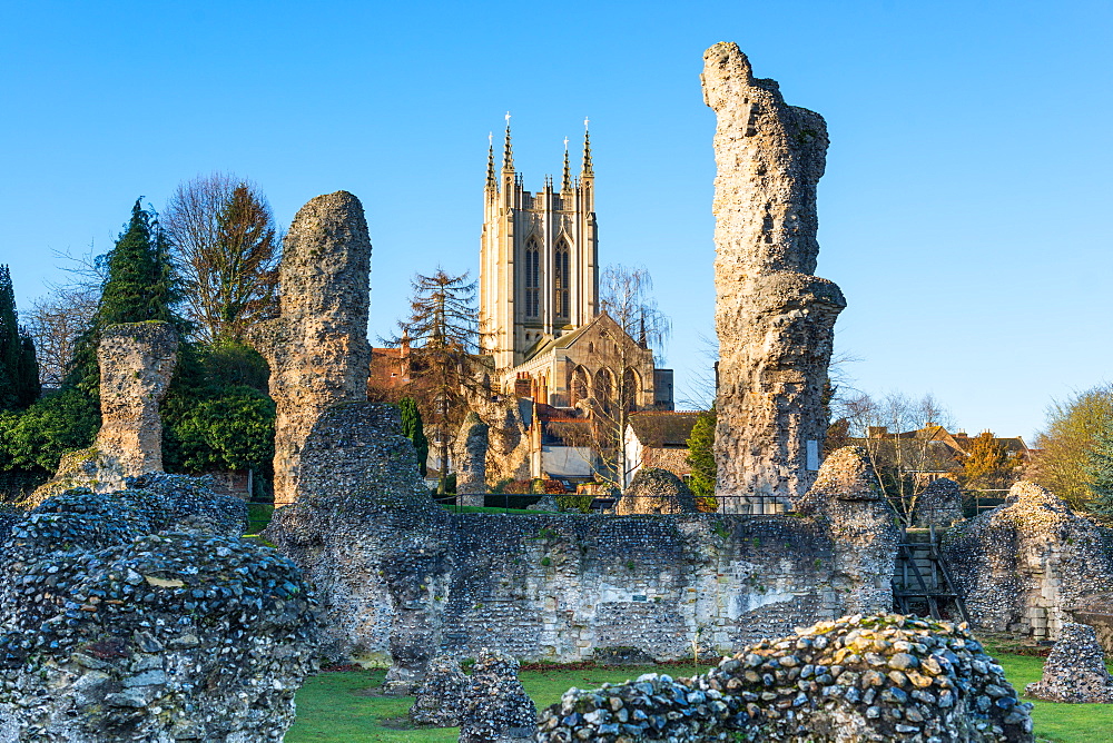 Ruins of the Abbey of Bury St. Edmunds, historic Benedictine monastery, with St. Edmundsbury Cathedral, Bury St. Edmunds, Suffolk, England, United Kingdom, Europe