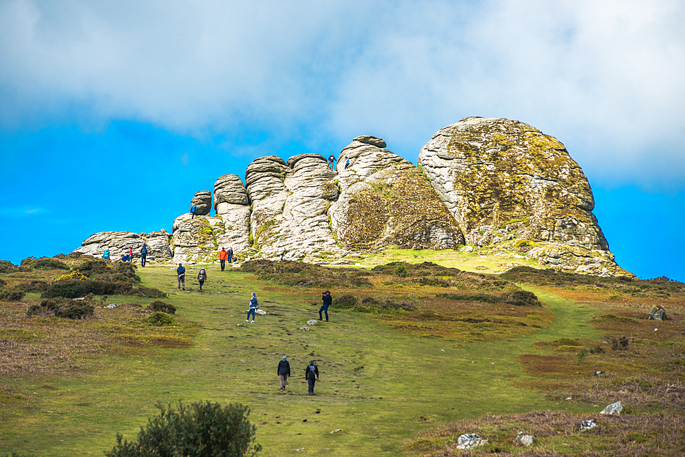 Haytor Rocks, Ilsington, Dartmoor National Park, Devon, England, United Kingdom, Europe