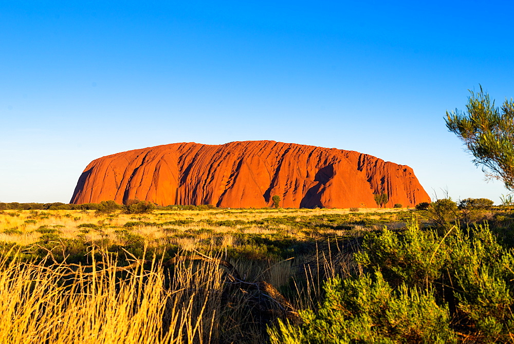 Uluru (Ayers Rock), Uluru-Kata Tjuta National Park, UNESCO World Heritage Site, Northern Territory, Australia, Pacific