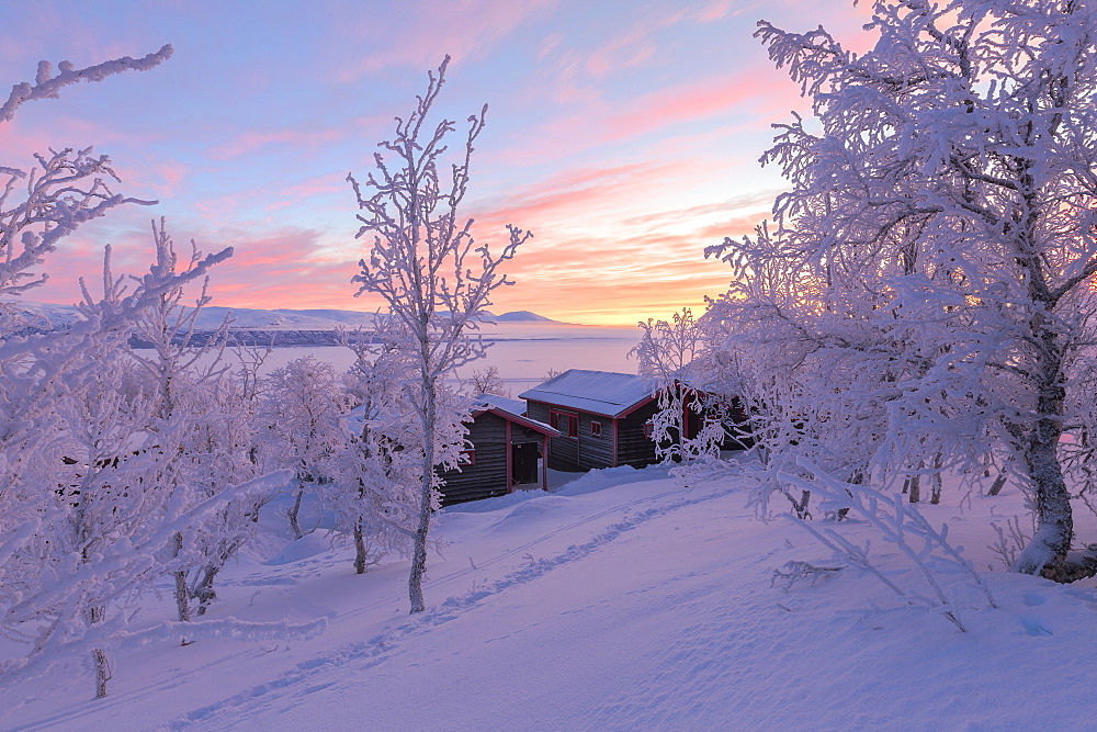 Dawn light illuminates a lonely house in the snow-covered forest, Bjorkliden, Norbottens Ian, Sweden, Scandinavia, Europe