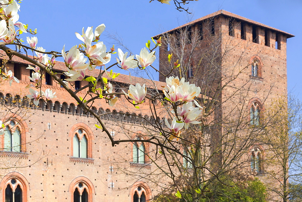 Spring at Castello Visconteo (Visconti Castle), Pavia, Pavia province, Lombardy, Italy, Europe