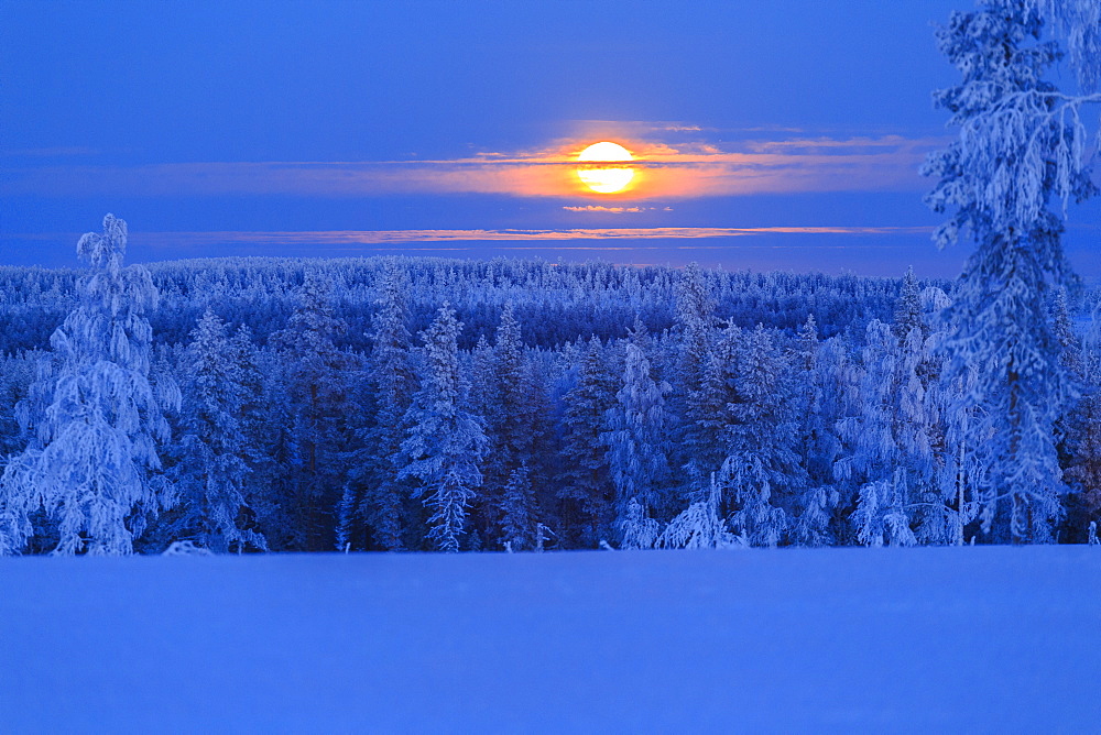 Lunar sunrise over the woods of Lapland, Hukanmaa/Kitkiojoki, Norbottens Ian, Lapland, Sweden, Scandinavia, Europe